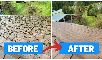 Moss Removal and Soft wash on roof in Forest Grove, OR before and after photo