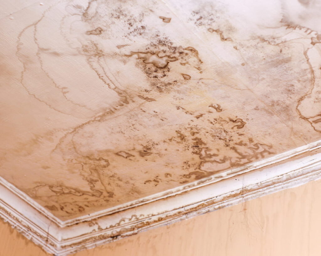 Badly water stained ceiling to illustrate what causes roof leaks.