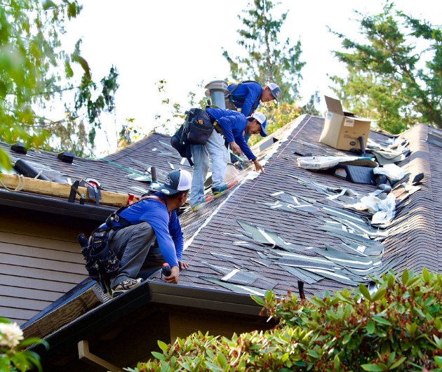 Spruce Up Northwest roofers intalling new roof